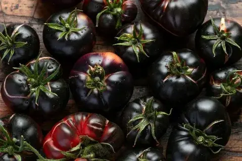 Black Beauty Tomatoes