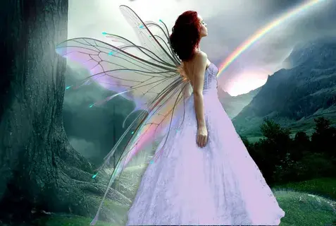 beautiful fairy wings